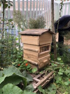 Beehive at the bees for refugees farm